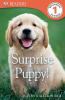 Go to record Surprise puppy!