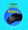 Go to record Guess who soars