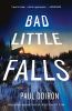 Go to record Bad Little Falls : a novel