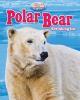 Go to record Polar bear : shrinking ice