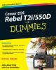 Go to record Canon EOS Rebel T2i/550D for dummies