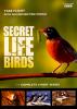 Go to record Secret life of birds : the complete 5-part series