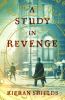Go to record A study in revenge : a novel