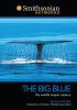 Go to record The big blue : the world's largest creature