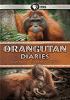 Go to record Orangutan diaries : saving our closest relatives