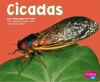 Go to record Cicadas