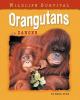 Go to record Orangutans in danger