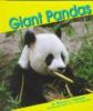 Go to record Giant pandas