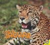Go to record A jaguar