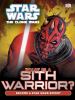 Go to record What is a Sith warrior?