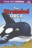 Go to record The stranded orca