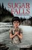 Go to record Sugar Falls : a residential school story