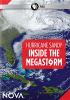 Go to record Hurricane Sandy : inside the megastorm