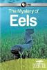 Go to record The mystery of eels