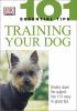 Go to record Training your dog