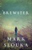 Go to record Brewster : a novel