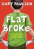 Go to record Flat broke : the theory, practice and destructive properti...