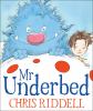 Go to record Mr. Underbed