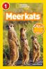 Go to record Meerkats
