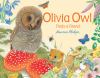 Go to record Olivia Owl finds a friend