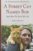 Go to record A street cat named Bob : and how he saved my life