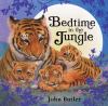 Go to record Bedtime in the jungle