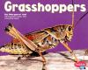 Go to record Grasshoppers