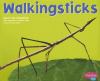 Go to record Walkingsticks
