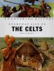 Go to record Everyday life of the Celts