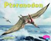 Go to record Pteranodon
