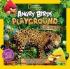 Go to record Angry Birds playground. Rain forest : a forest floor to tr...