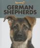 Go to record German shepherds