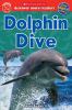 Go to record Dolphin dive