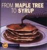 Go to record From maple tree to syrup