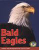 Go to record Bald eagles