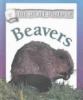 Go to record The secret world of beavers