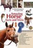 Go to record Amazing horse facts and trivia : an illustrated guide to t...