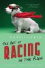 Go to record The art of racing in the rain : a novel