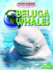 Go to record Beluga whales
