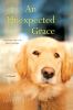 Go to record An unexpected grace