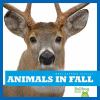 Go to record Animals in fall