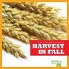 Go to record Harvest in fall