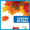 Go to record Leaves in fall