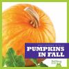 Go to record Pumpkins in fall