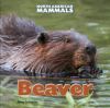 Go to record Beaver
