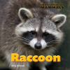 Go to record Raccoon