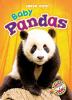 Go to record Baby pandas
