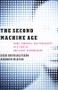 Go to record The second machine age : work, progress, and prosperity in...