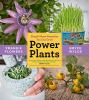 Go to record Power plants : simple home remedies you can grow