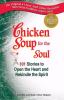 Go to record Chicken soup for the soul : 101 stories to open the heart ...
